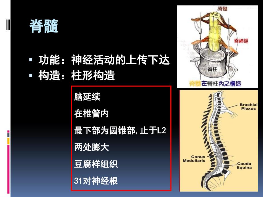 脊髓损伤的康复史上最权威得资料_第4页