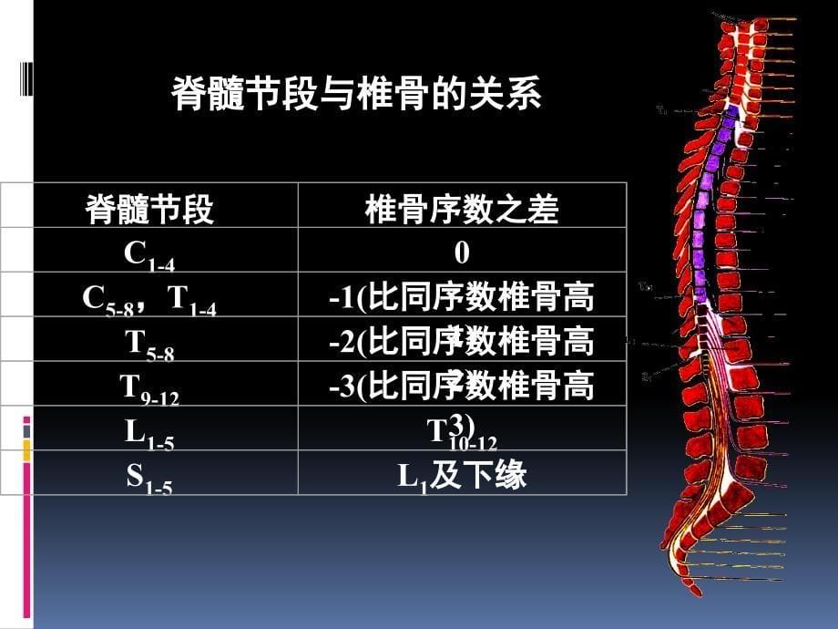 脊髓损伤的康复史上最权威得资料_第5页