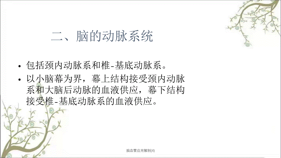 脑血管应用解剖4课件_第4页