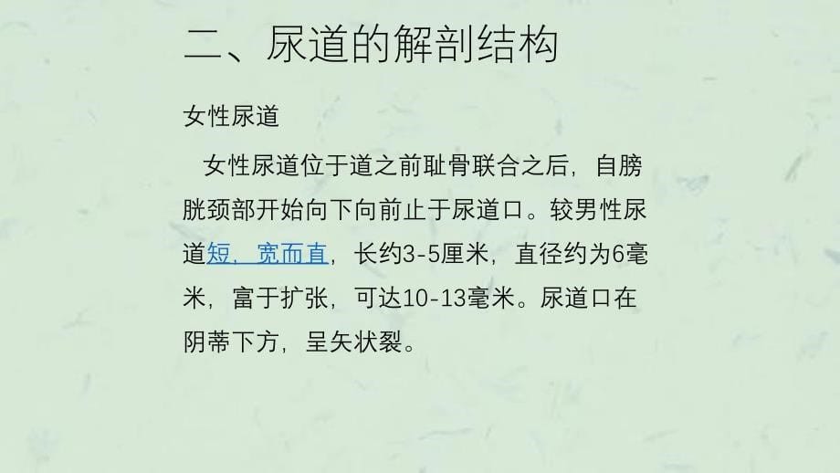 留置导尿的并发症及护理措施精课件_第5页