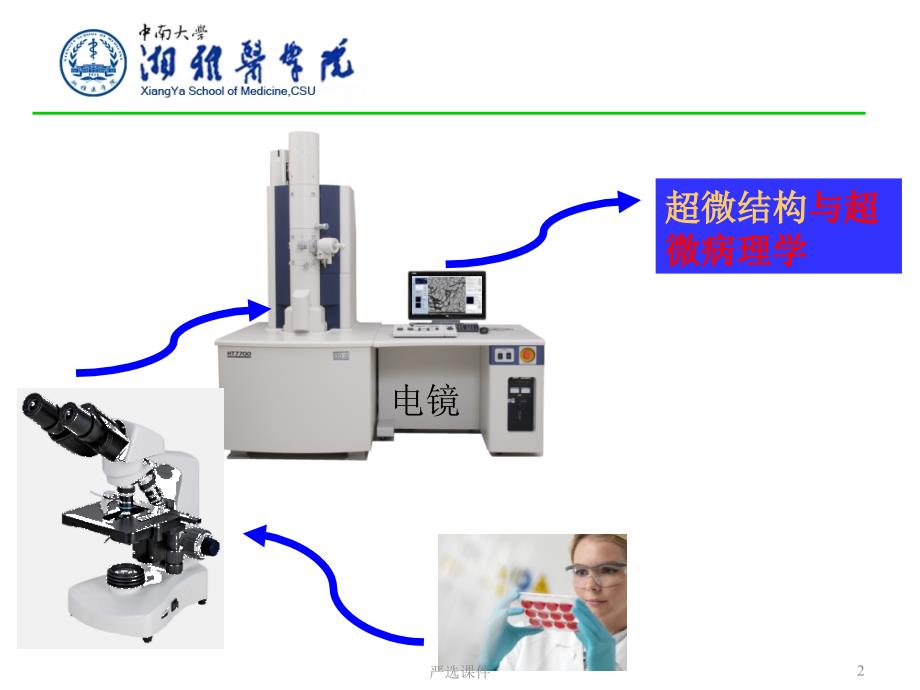 电镜在生物医学中的应用【优制材料】_第2页