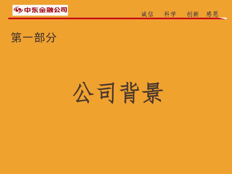 某金融公司市场营销计划_第3页