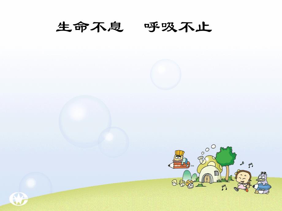 生物：第三单元第四章绿色植物是生物圈中有机物的制造者复习课件（人教新课标七年级上）_第4页