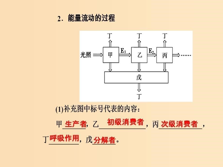 2019版高考生物总复习 第九单元 生物与环境 第4讲 生态系统的能量流动和物质循环课件.ppt_第5页