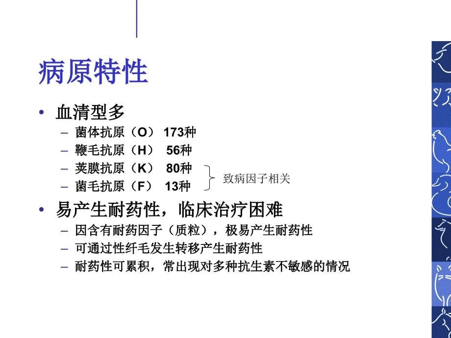 仔猪大肠杆菌病的防治_第5页