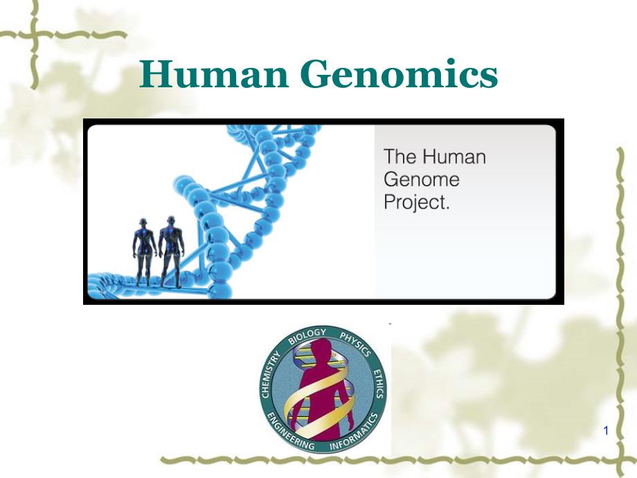 医学遗传学课件：Chapter 3 Human Genomics I_第1页