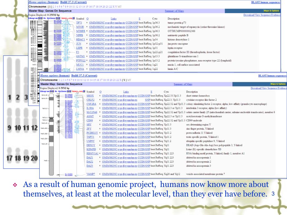 医学遗传学课件：Chapter 3 Human Genomics I_第3页