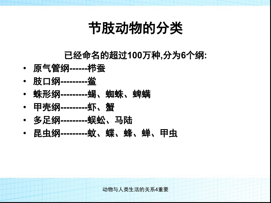 动物与人类生活的关系4重要课件_第3页