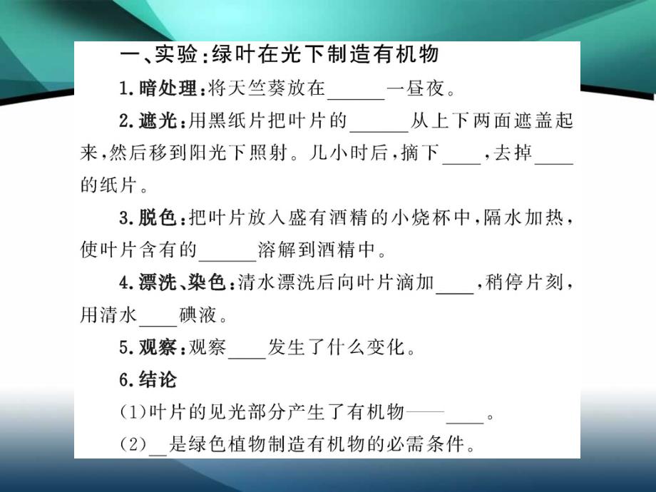 初中生物——绿色植物的光合作用_第3页