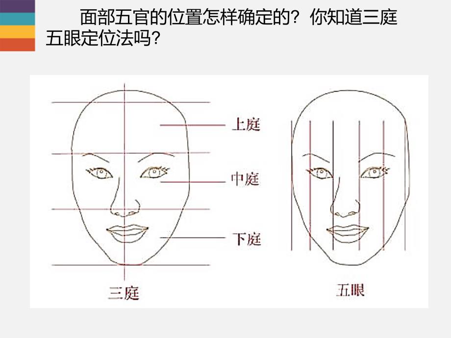 小学美术-3《亲近的人》ppt课件_第3页