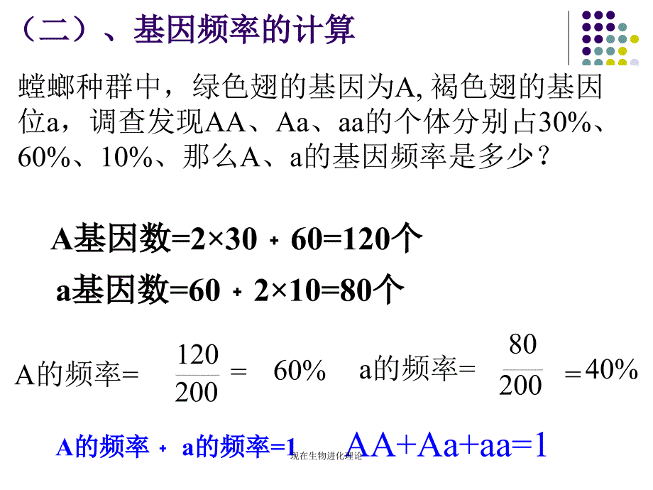 现在生物进化理论课件_第4页