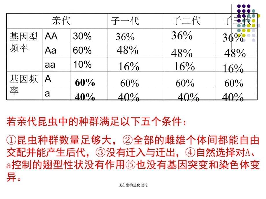 现在生物进化理论课件_第5页