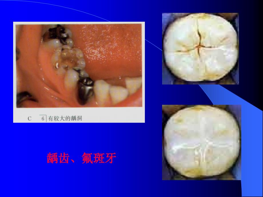 化学元素与人体健康课件(23页)_第3页