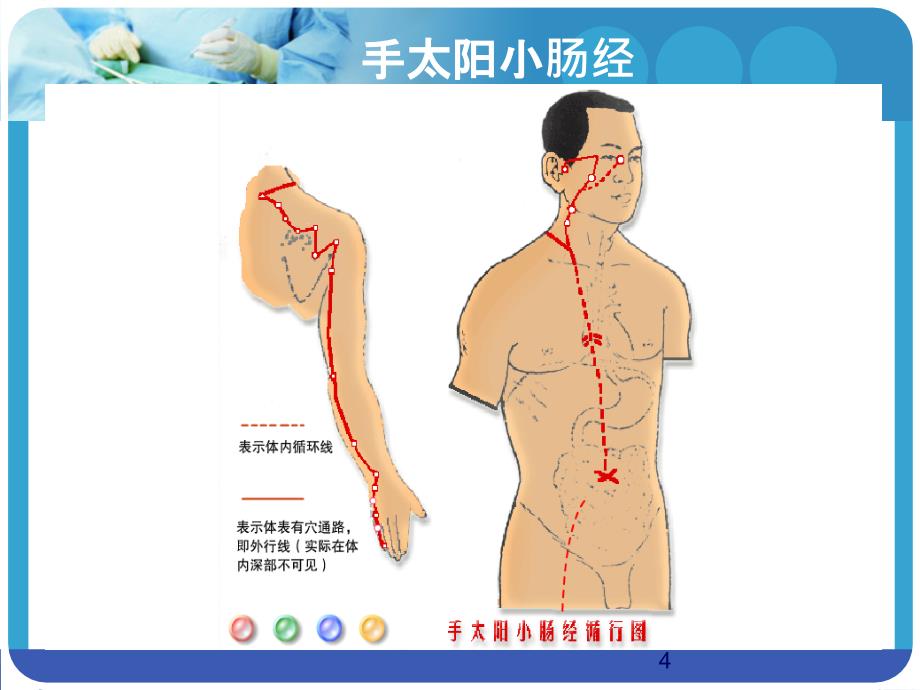 手太阳小肠经PPT课件_第4页