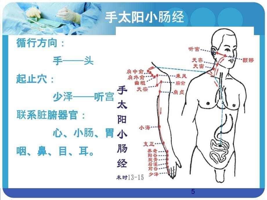 手太阳小肠经PPT课件_第5页