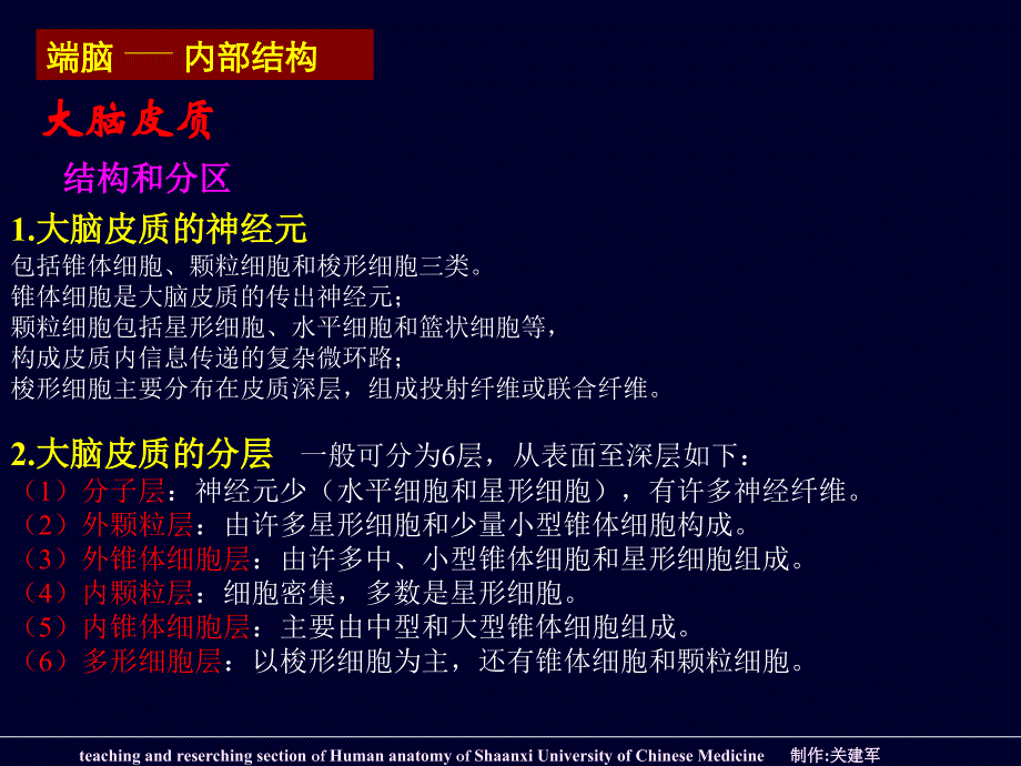 端脑外形和分叶PPT课件_第4页