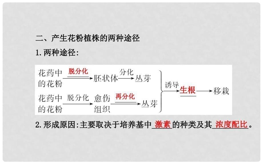 高中生物 专题3课题2 月季的花药培养精讲导学课件 新人教版选修1_第5页