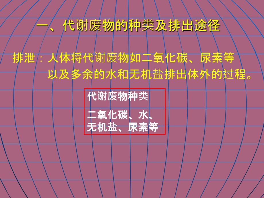 人体代谢废物和皮肤ppt课件_第3页