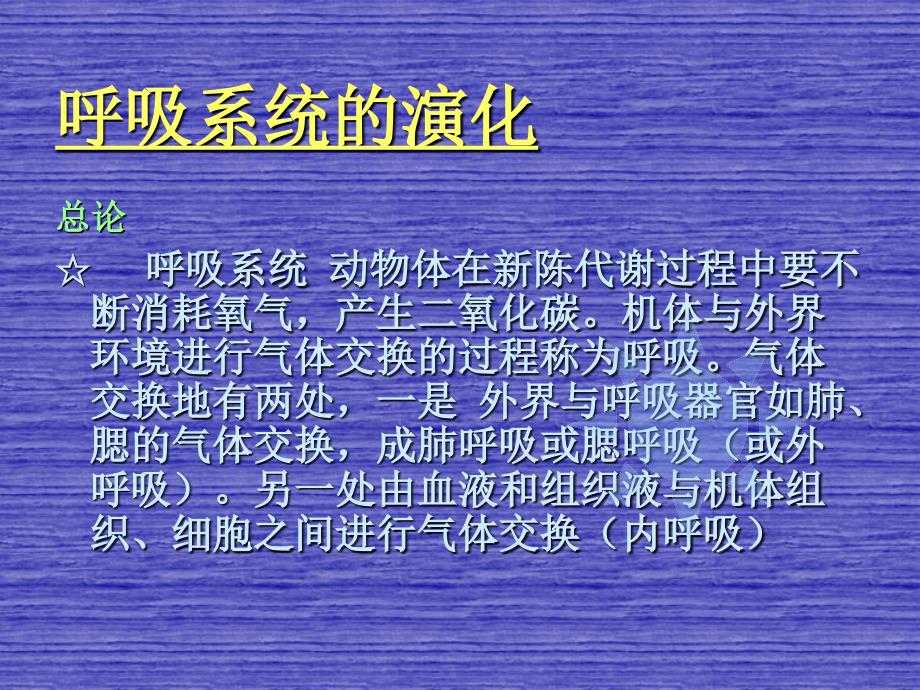 无脊椎动物的呼吸器官结构与功能演化及其与循环系统演化的关联.课件_第3页