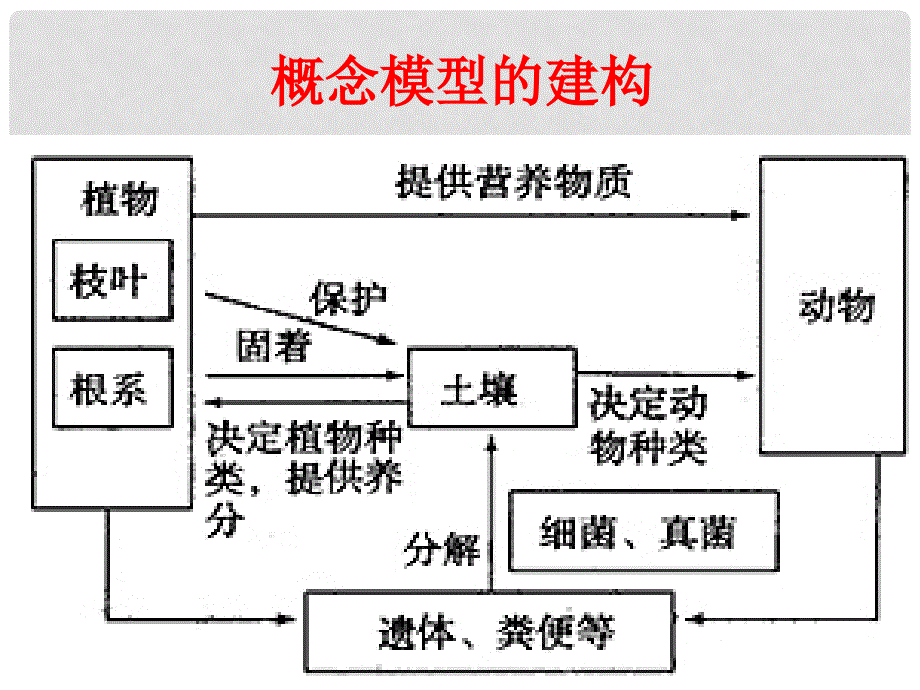 云南省峨山彝族自治县高中生物 第五章 生态系统及其稳定性 5.1 生态系统的结构课件1 新人教版必修3_第3页