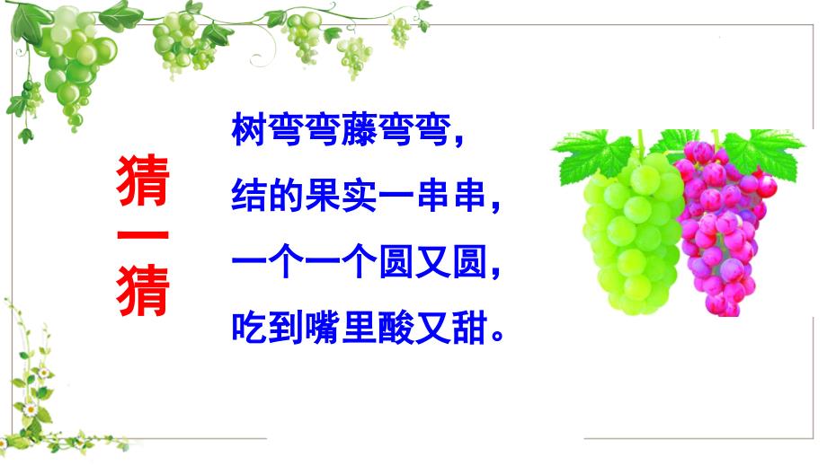 11葡萄沟 (3)_第1页