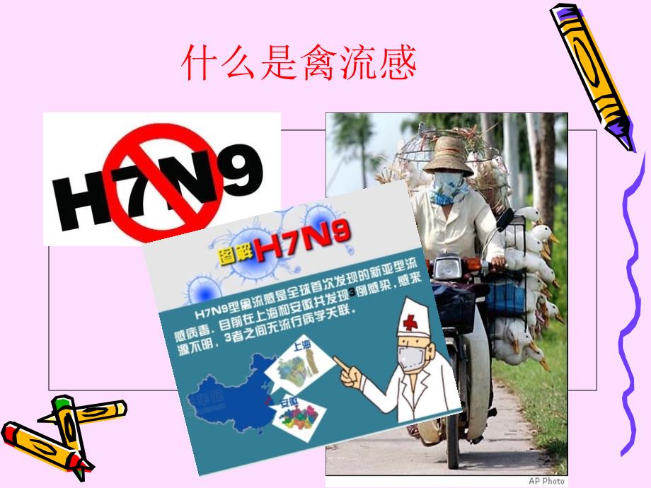 幼儿园小班预防禽流感方案.ppt_第2页