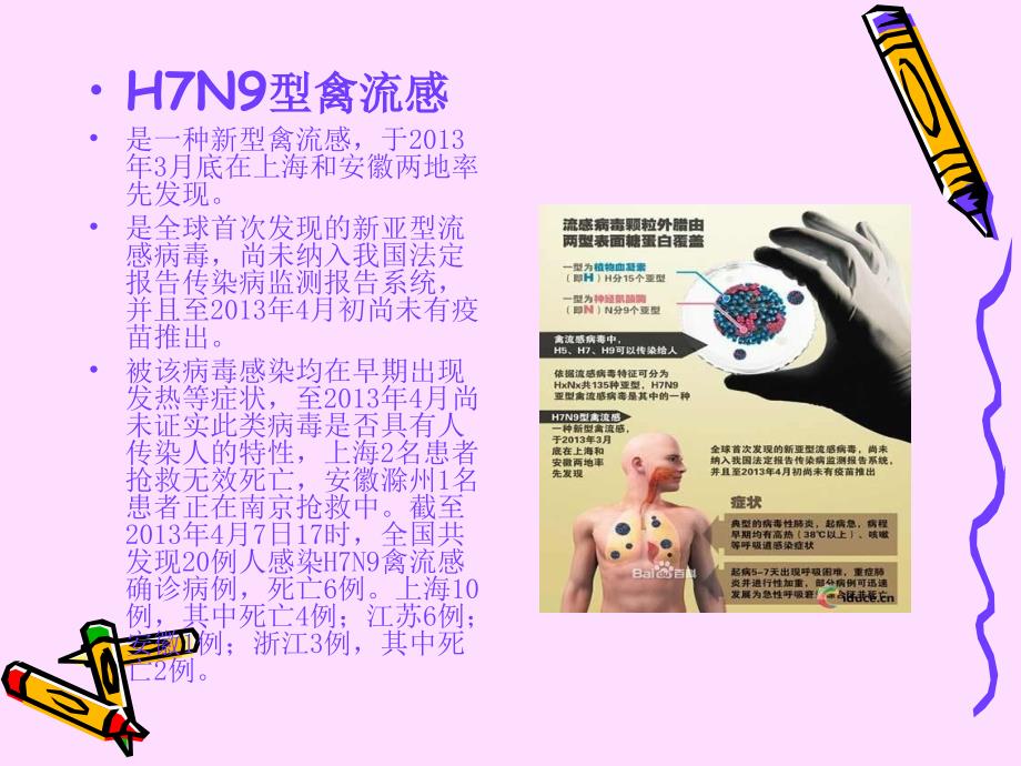 幼儿园小班预防禽流感方案.ppt_第3页