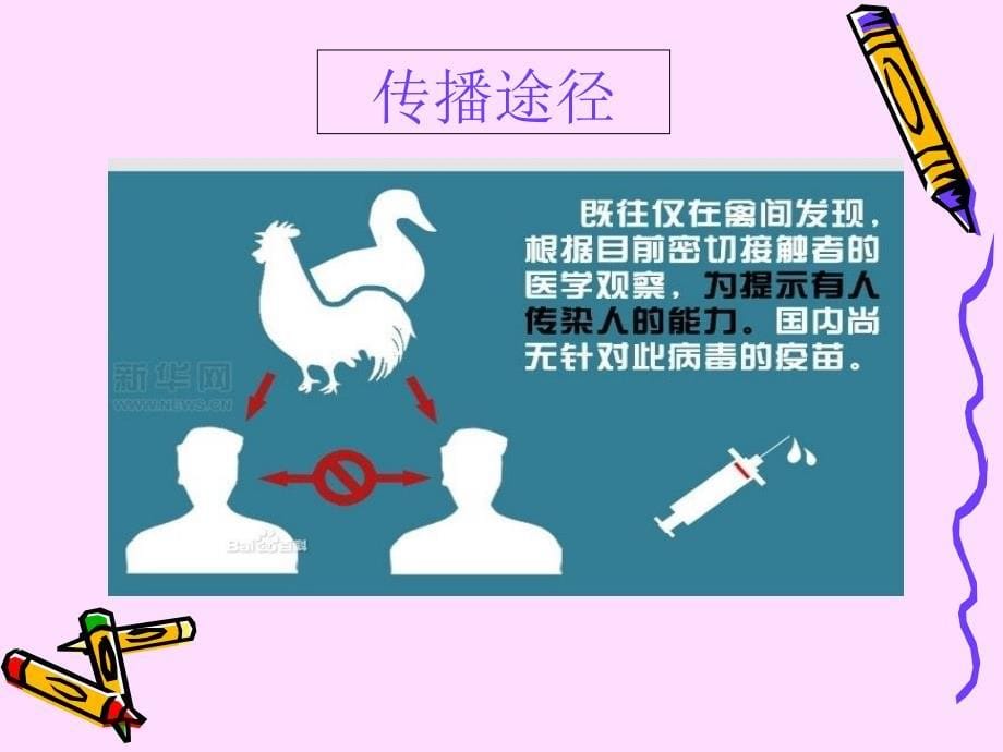 幼儿园小班预防禽流感方案.ppt_第5页