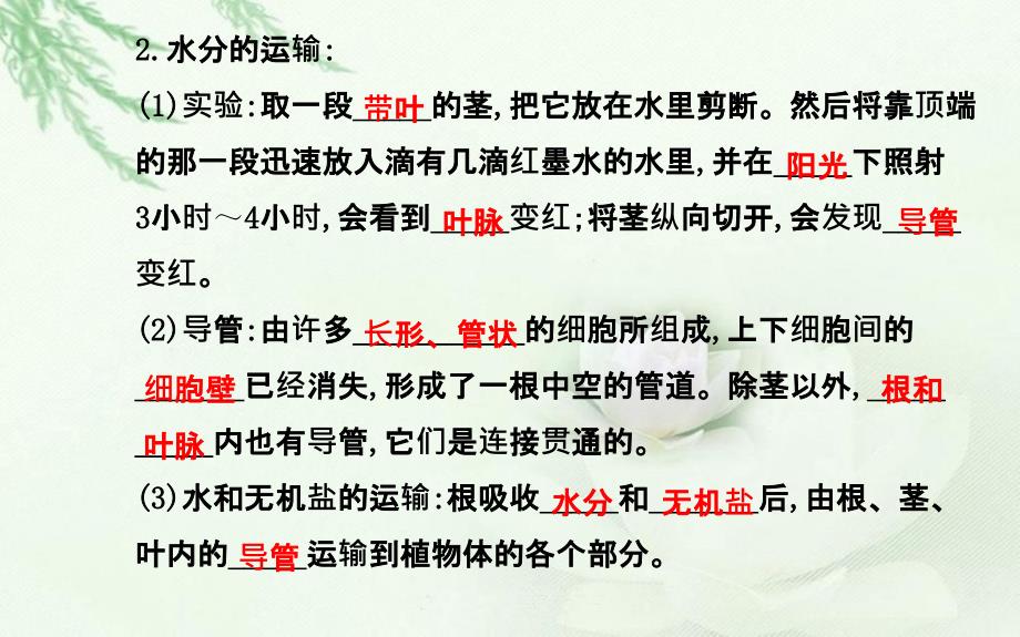 七上第三单元第三章绿色植物与生物圈的水循环_第3页