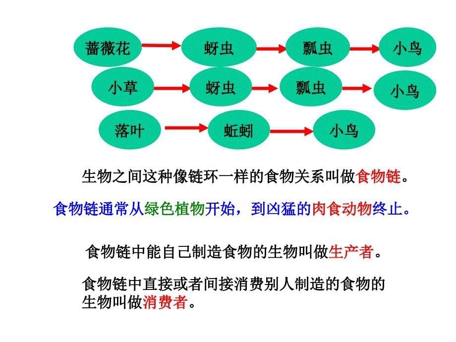 五年级科学上册-15-食物链和食物网课件1-教科版_第5页