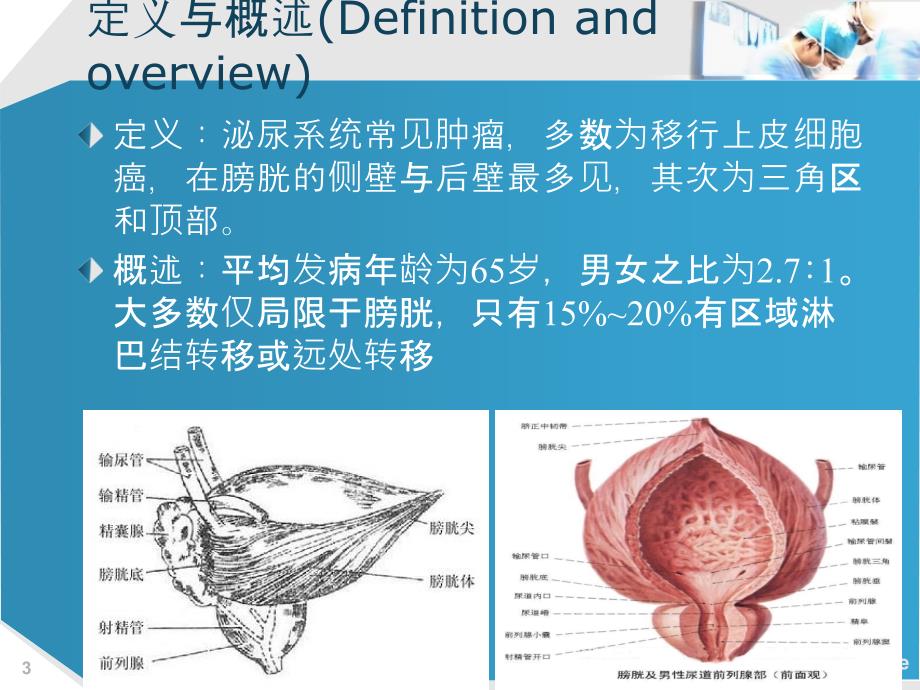 泌尿外科小讲课.ppt_第3页