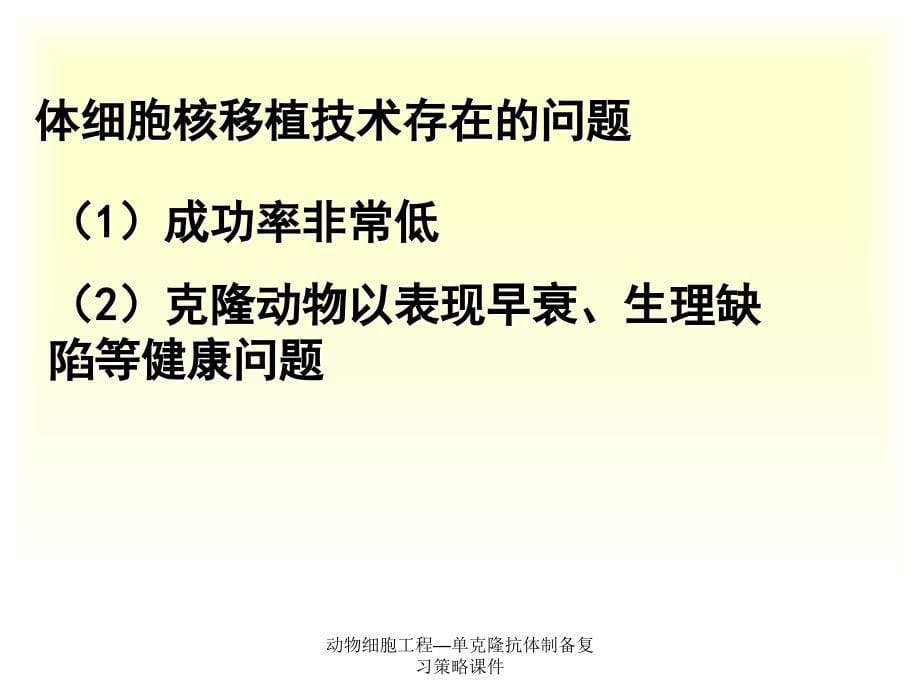 动物细胞工程—单克隆抗体制备复习策略课件_第5页