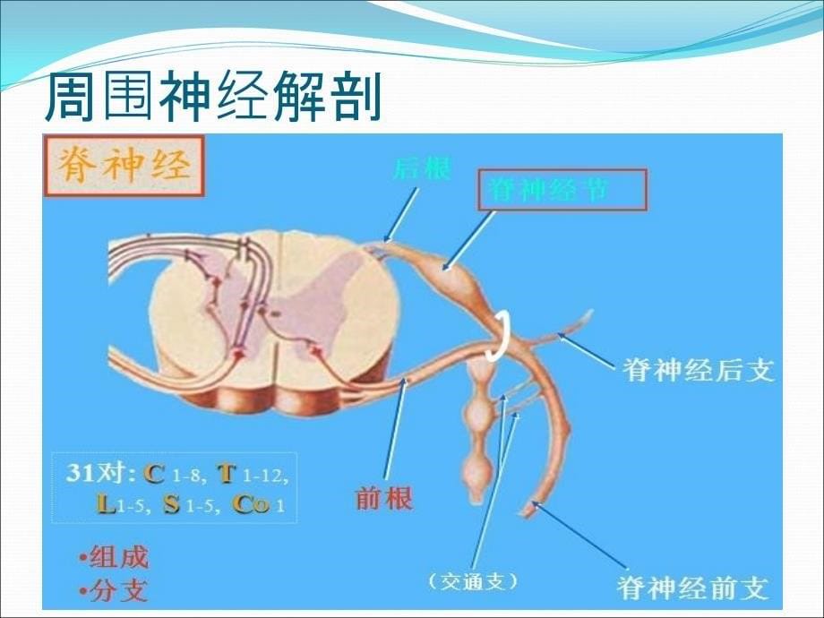 周围神经病的诊断_第5页