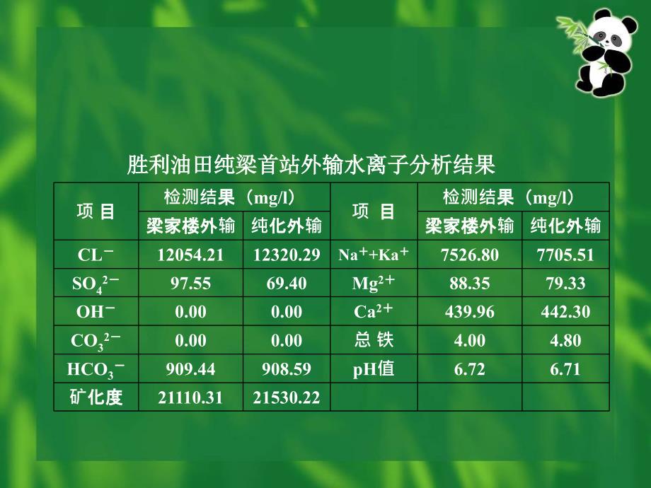 污水结垢机理及除垢防垢技术_第4页