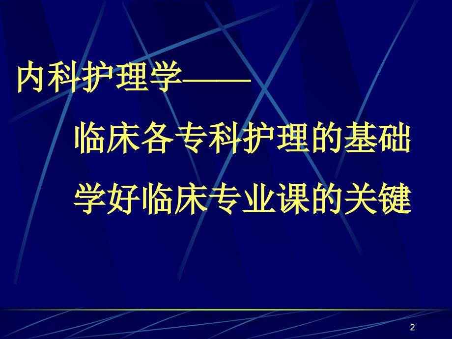 内科护理学绪论_第2页