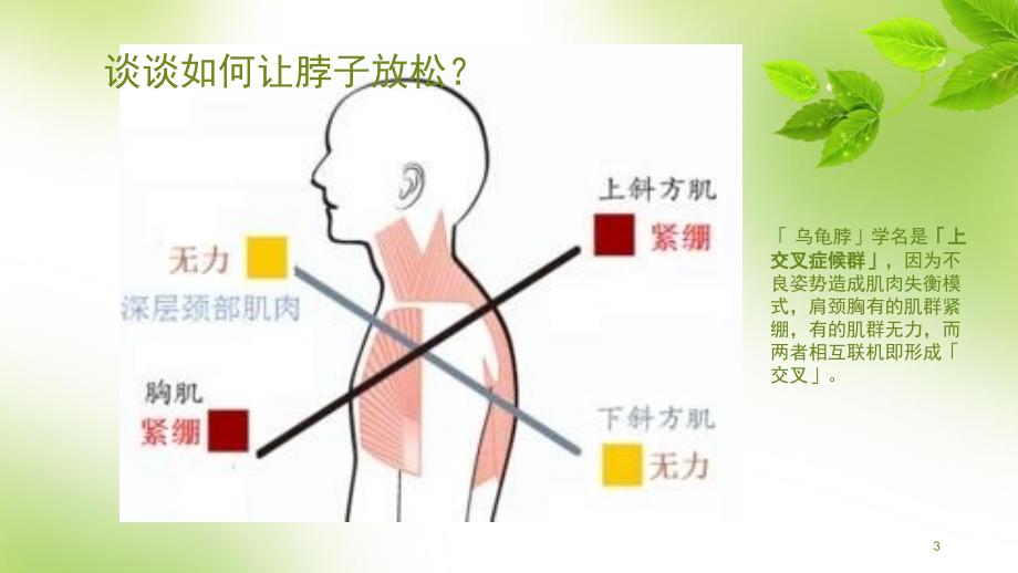 深度分析乌龟脖颈椎病运动康复.PPT_第3页