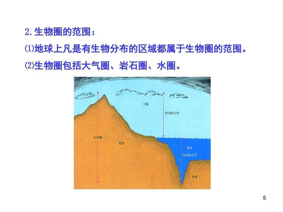 生物圈是生物的共同家园课堂PPT_第5页