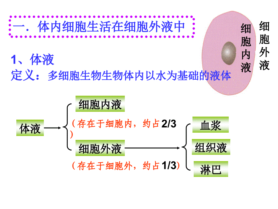 细胞生活的环境课件ppt_第4页