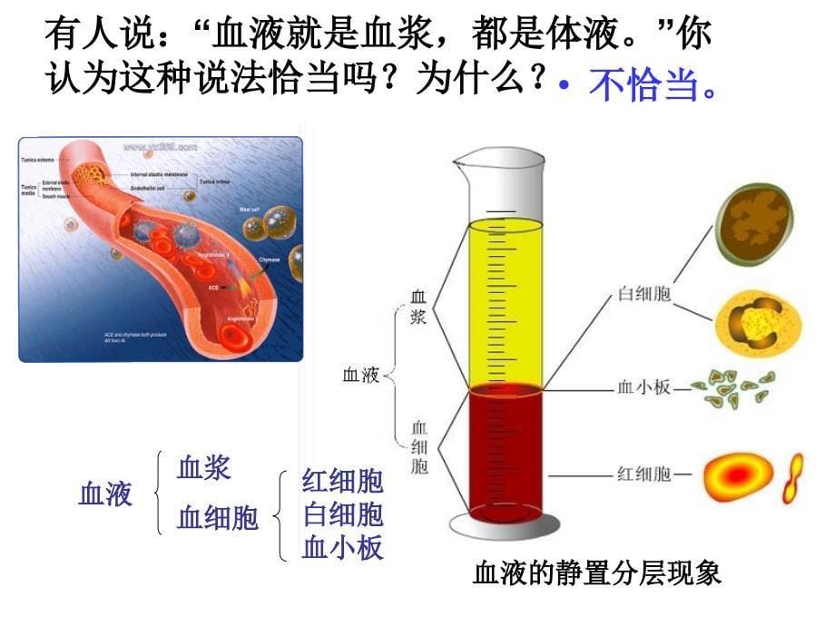 细胞生活的环境课件ppt_第5页