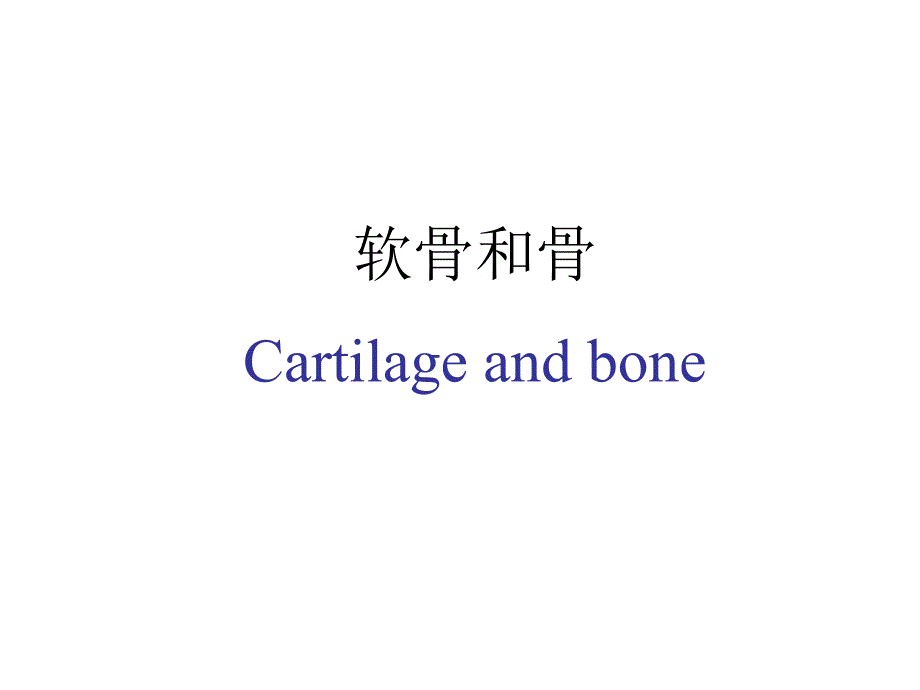 组织胚胎学：5.Cartilage and bone_第1页