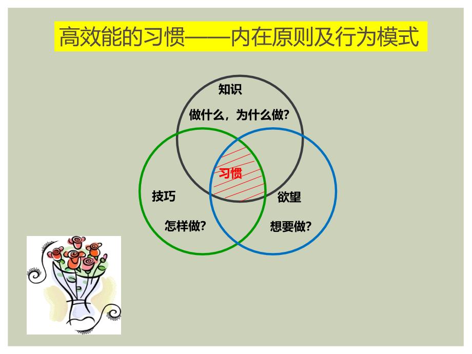 经典PPT《高效能人士的七个习惯》读后感PPT_第4页