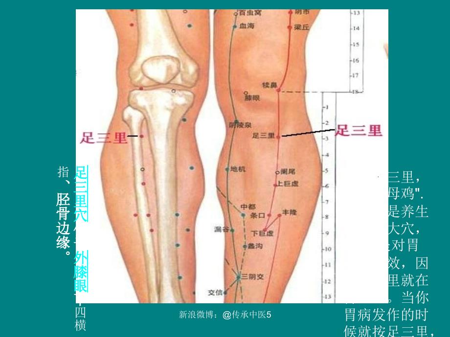 中医急救培训_第3页