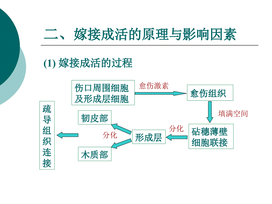 第4章 园艺植物的繁殖技术02_第4页