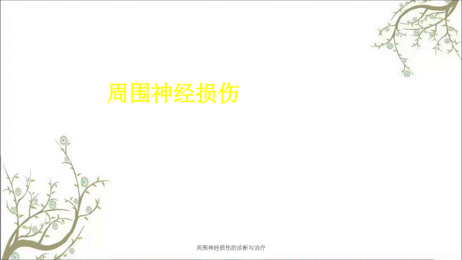 周围神经损伤的诊断与治疗_第1页