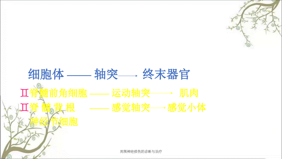 周围神经损伤的诊断与治疗_第2页