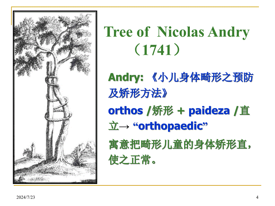 专升本科病人一般护理_第4页