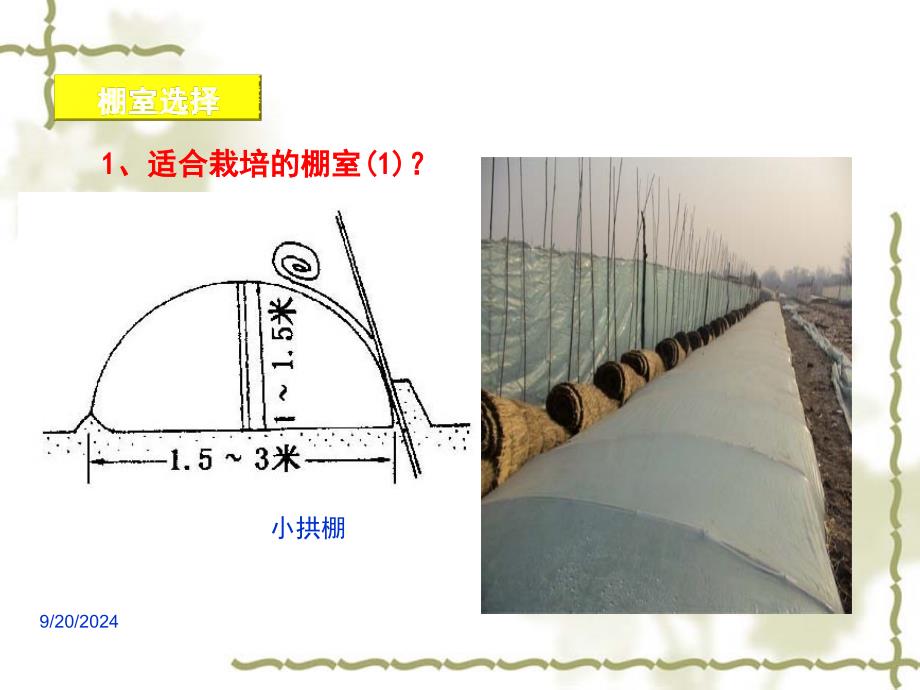 农业技术培训-番茄栽培_第2页