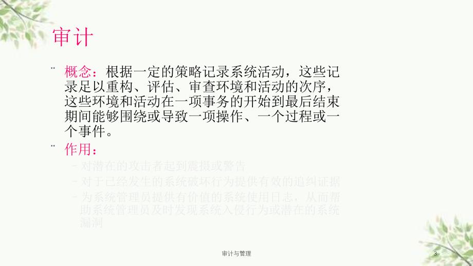 审计与管理课件_第3页