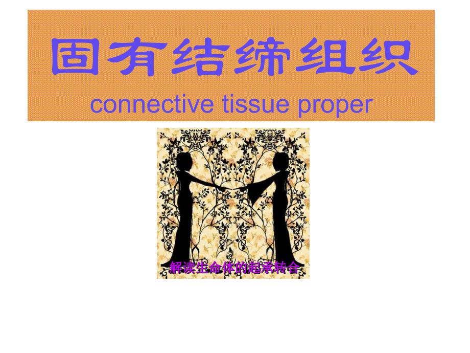 组织与胚胎学课件：固有结缔组织_第1页
