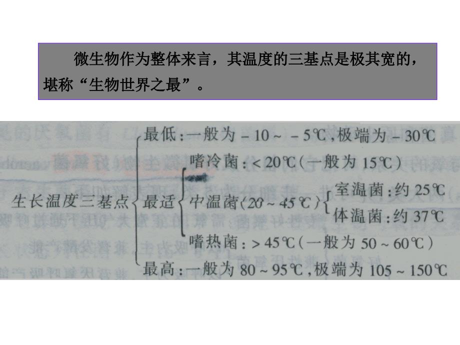 影响微生物生长的主要因素_第4页